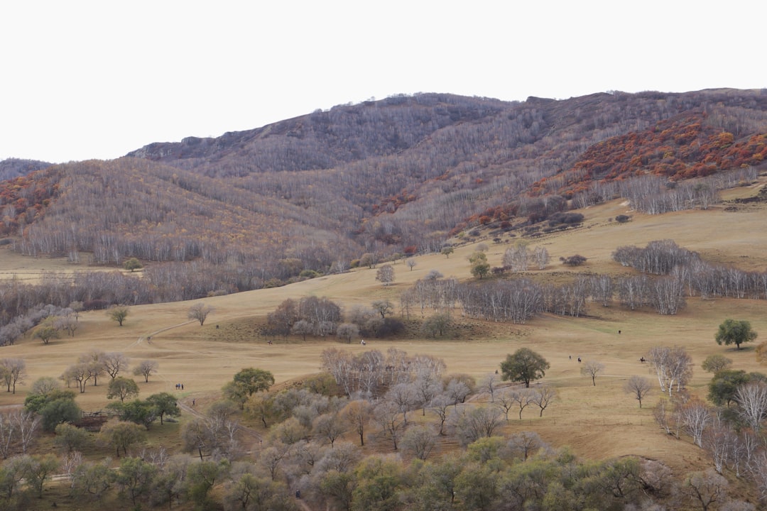 Embracing Nature: The Therapeutic Benefits of Outdoor Travel